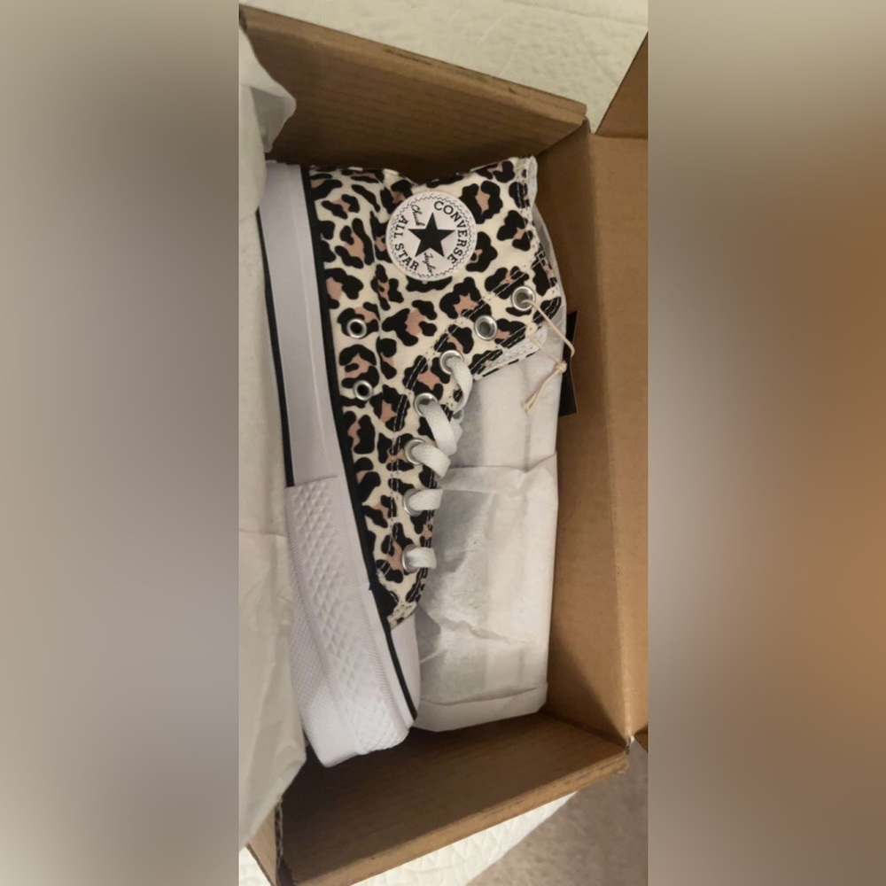 cheetah converse